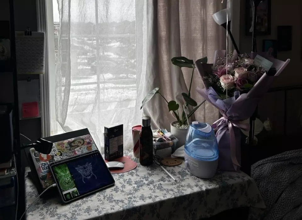 매일 그림 그리기 시작